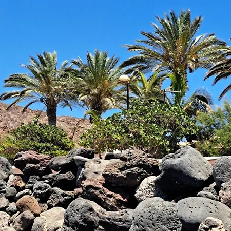 Casa Bartoli Διαμέρισμα