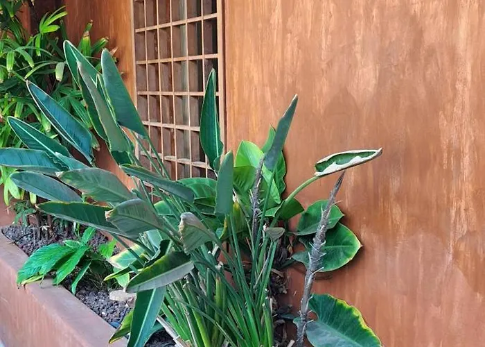 아파트 Casa Bartoli